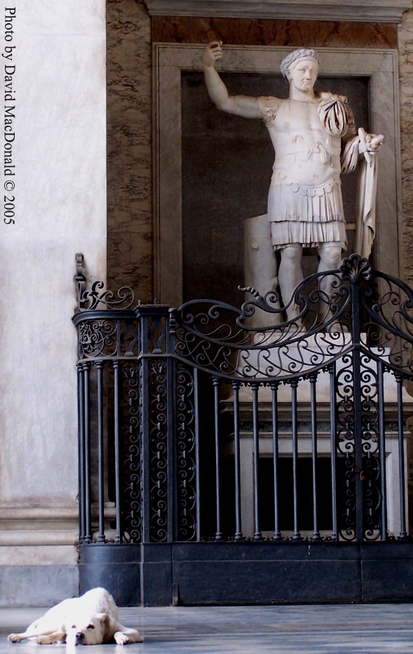 Dog, St. John Lateran