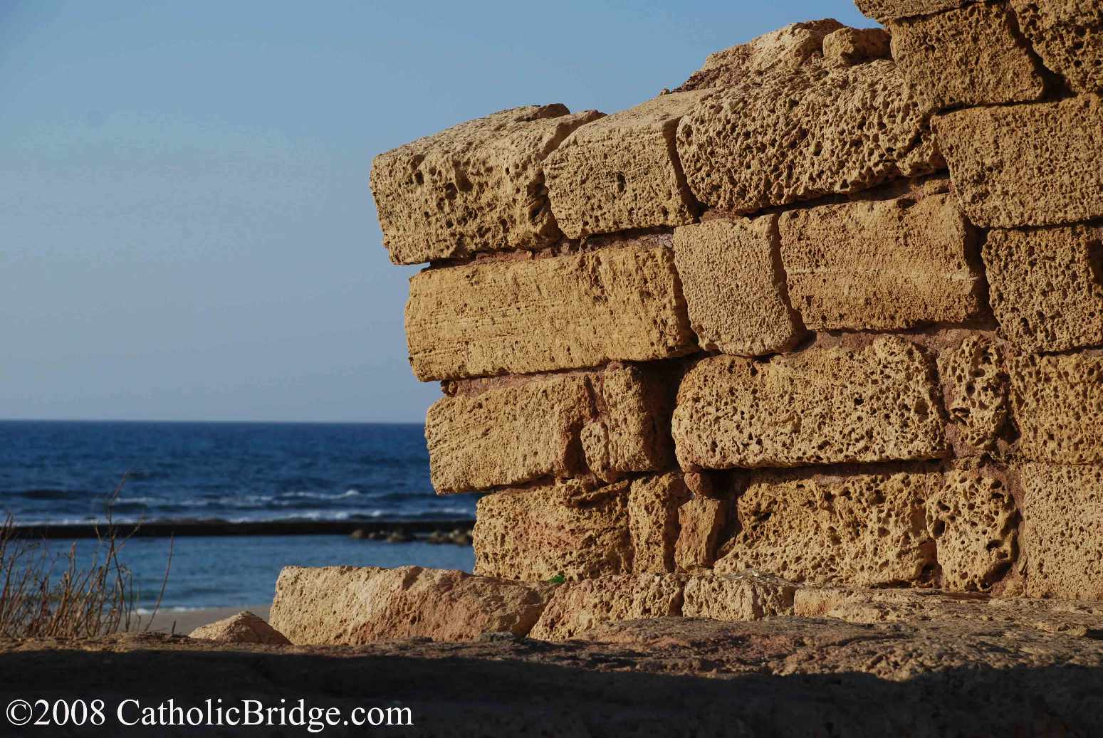 Peacock on the Jordan - Israel