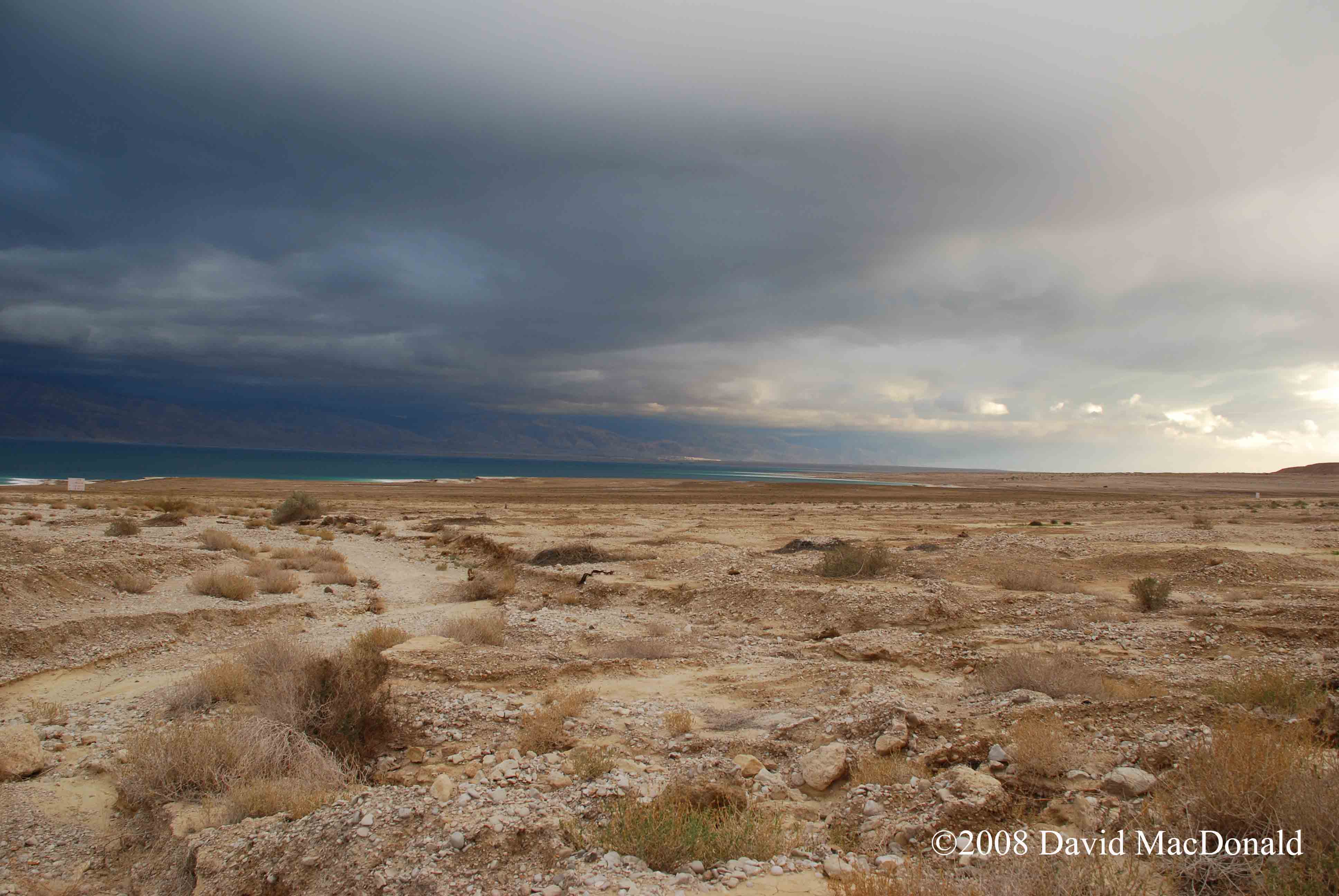 Dead sea - Israel