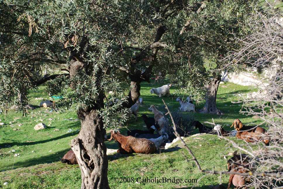 Jerusalem - Israel